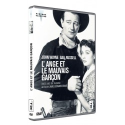 L'Ange et le mauvais garçon (DVD)